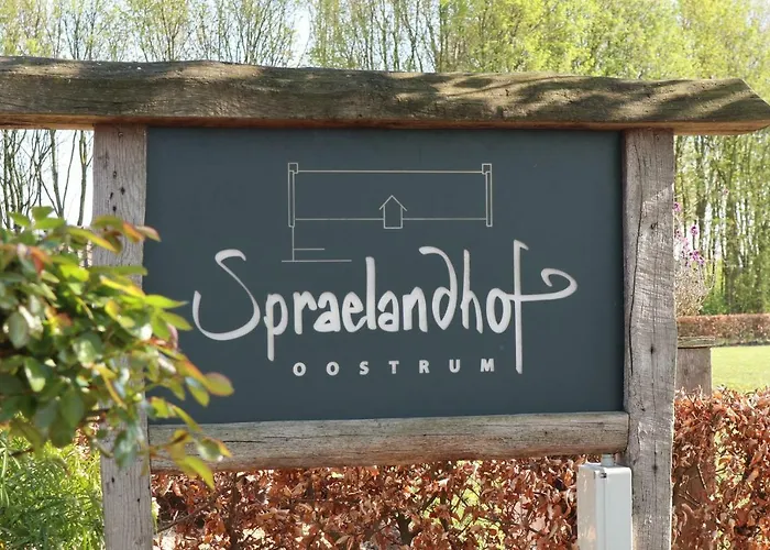 Bed and breakfast Spraelandhof 3*